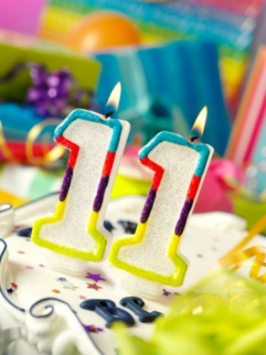 11 Year Old Boy Birthday Party Ideas
 11th Birthday Party Ideas for Girls