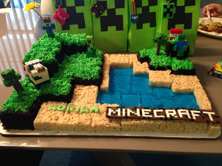 11 Year Old Boy Birthday Party Ideas
 Minecraft cake for my son s 6th bday mysweetcreations