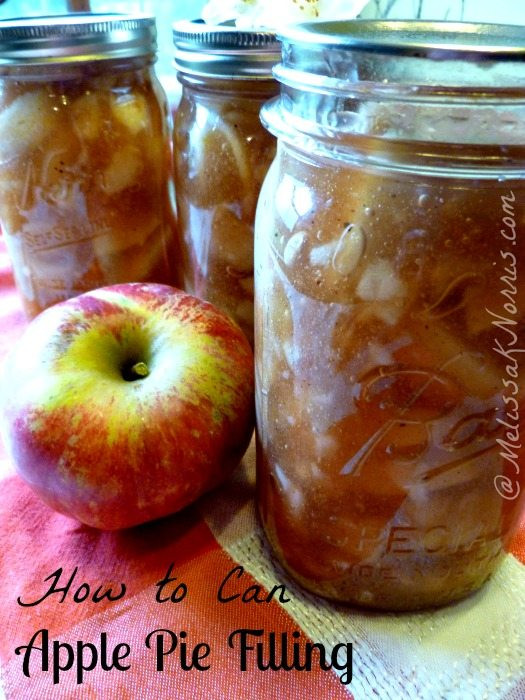 Apple Pie Filling For Canning
 How To Can Apple Pie Filling