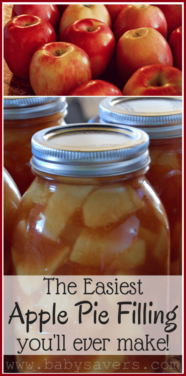Apple Pie Filling For Canning
 Canning Easy Apple Pie Filling Recipe for Pies Crisps and