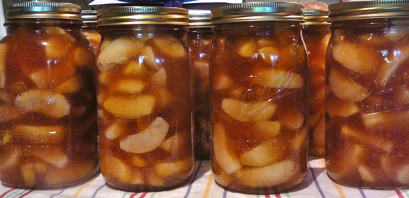 Apple Pie Filling For Canning
 The Hidden Pantry Canning Cinnamon Apple Pie Filling