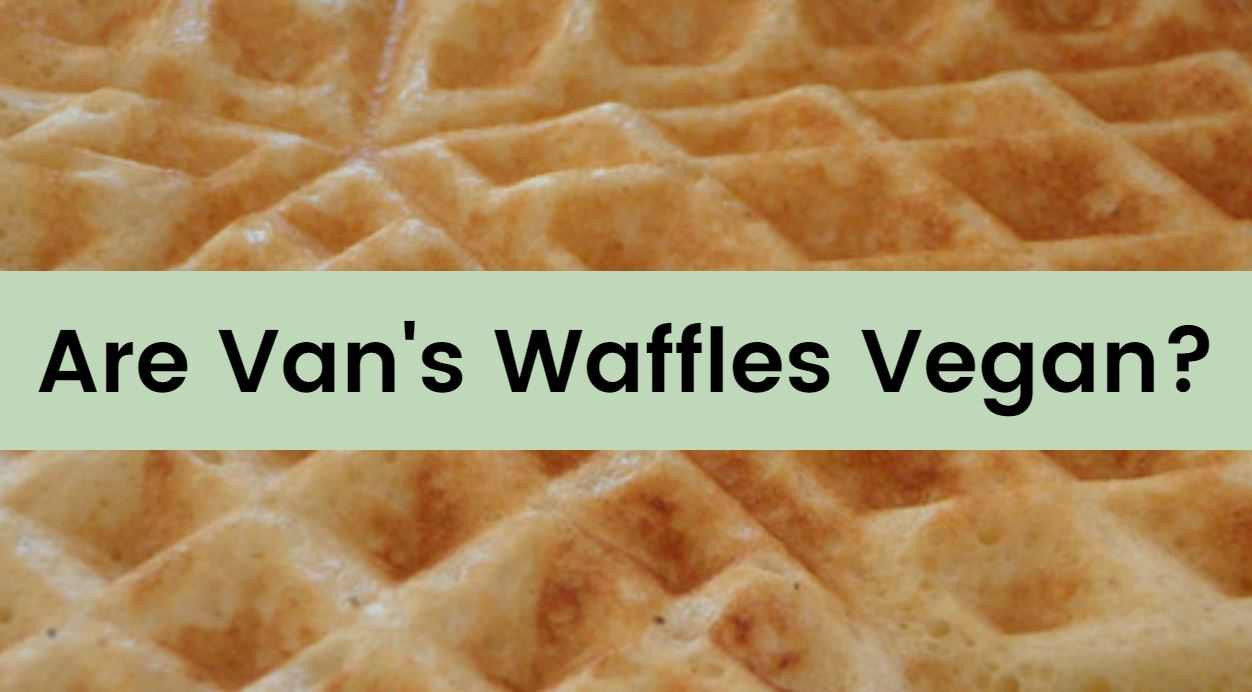 Are Eggo Waffles Vegan
 Are Van’s Waffles Vegan We Cover Gluten Free Blueberry