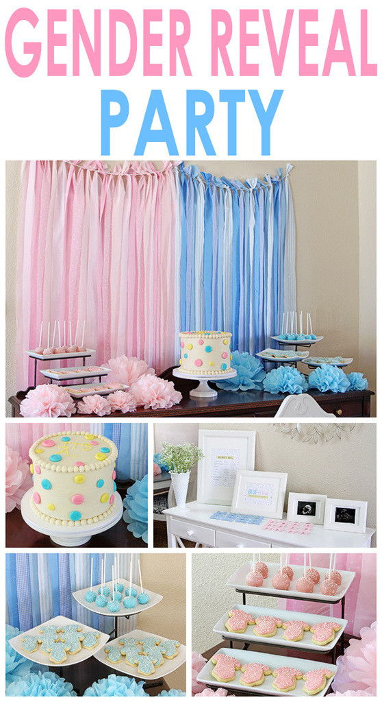 Baby Gender Reveal Party Decorations
 Gender Reveal Party