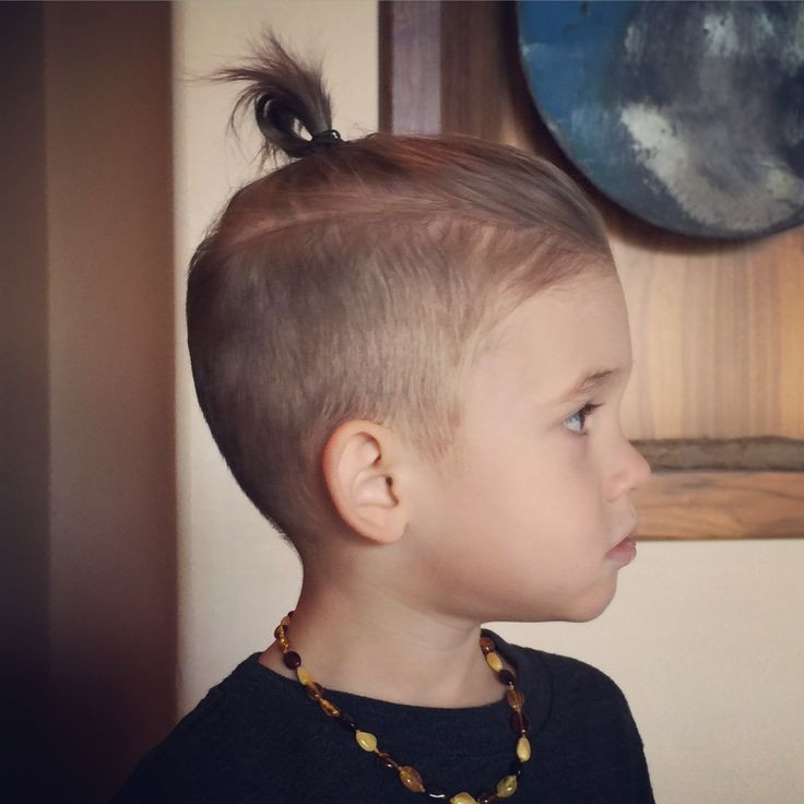 Baby Hair Ponytail
 30 Toddler Boy Haircuts For Cute & Stylish Little Guys