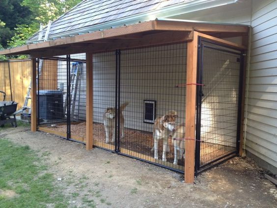 Backyard Dog Kennel
 10 Genius DIY Dog Kennel Ideas
