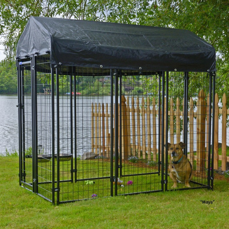 Backyard Dog Kennel
 Backyard Dog Kennel with Roof and Cover