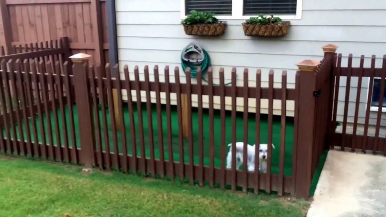 Backyard Dog Kennel
 BACKYARD DOG KENNEL IDEA EASY DIY