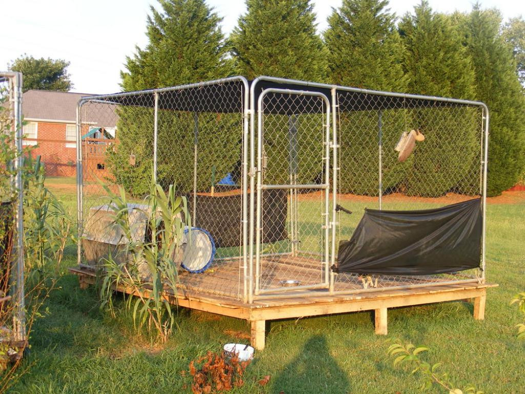 Backyard Dog Kennel
 Going to build a dog kennel…whats the best type of floor