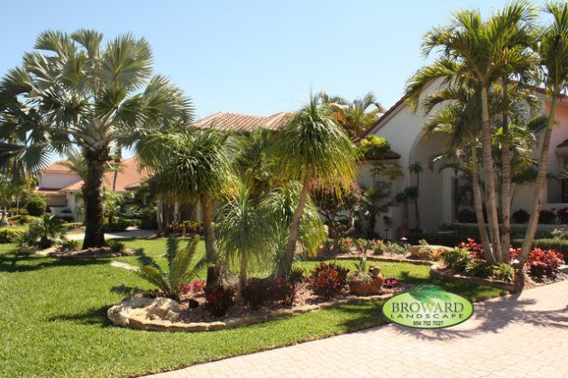 Backyard Palm Tree
 19 Exceptional Ideas To Decorate Your Landscape With Palm