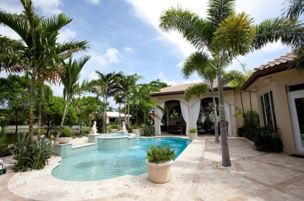 Backyard Palm Tree
 Add Tropical Charm To Your Backyard By Opting For Palm Trees