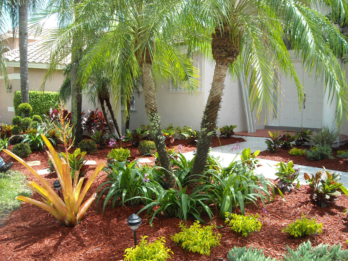 Backyard Palm Tree
 Impressive Landscape Design Ideas with Modern Seating Area