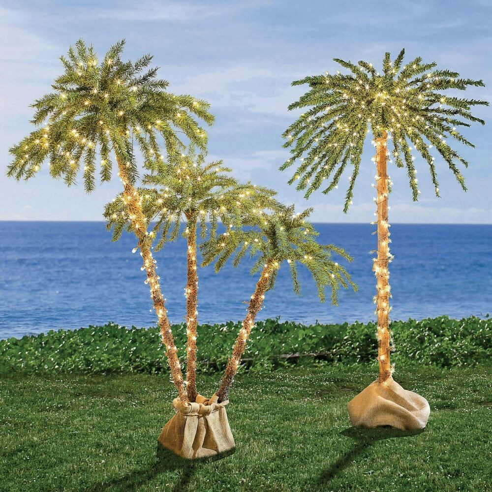 Backyard Palm Tree
 Palm Trees Twinkling lights Outdoor Yard Garden Patio