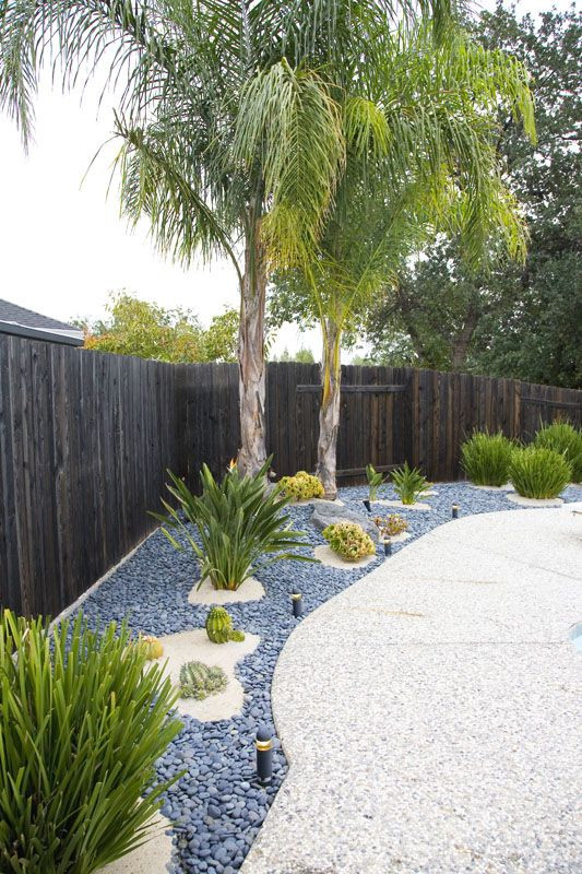 Backyard Palm Tree
 I first had all sand and a few Mexican pebbles around the