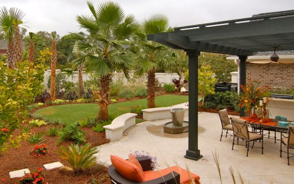 Backyard Palm Tree
 Add Tropical Charm To Your Backyard By Opting For Palm Trees