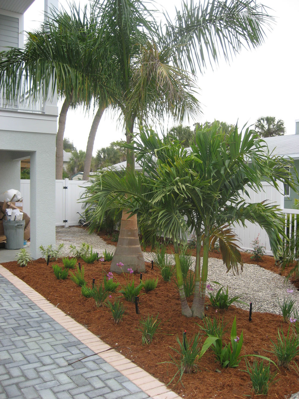 Backyard Palm Tree
 LANDSCAPING AND HOME GARDENS WITH PALM TREES