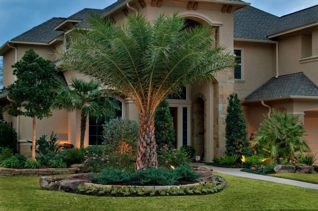 Backyard Palm Tree
 Beautiful Designs Front Yard Landscaping Ideas With Palm