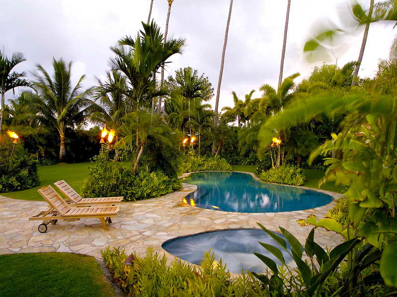 Backyard Palm Tree
 simple private garden