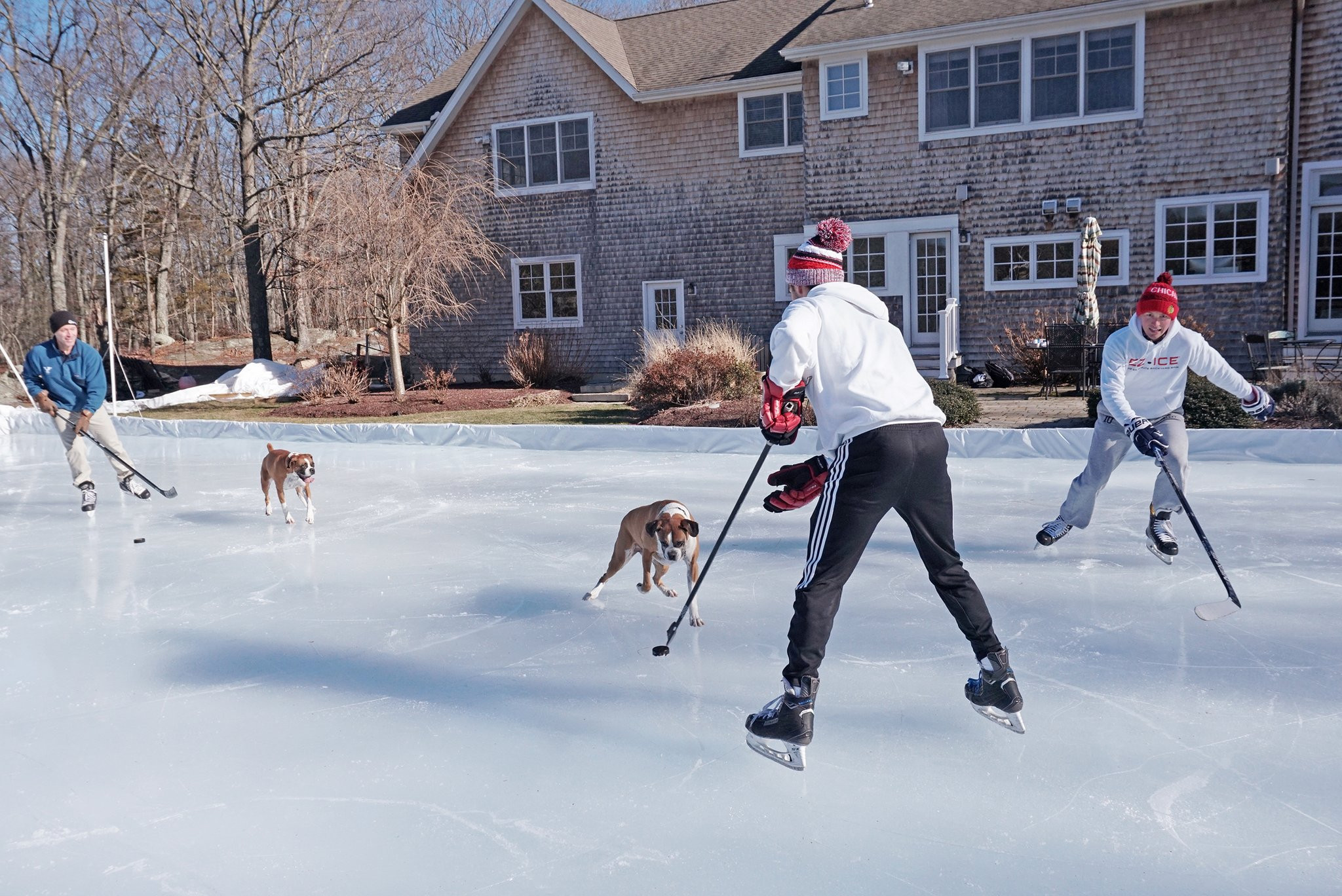 Backyard Skate Rink
 Backyard Ice Hockey Rinks – Best Home Ice Skating Rink