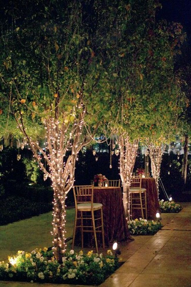 Backyard Tree Ideas
 Beautiful Backyard Tree Lighting Ideas That Will Fascinate You