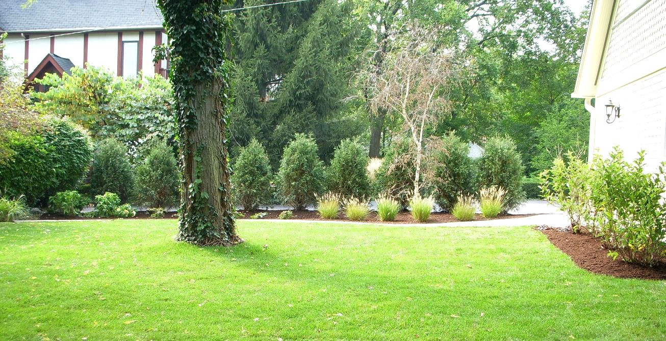 Backyard Tree Ideas
 Big Tree In A Garden Landscaping Ideas For Backyard With