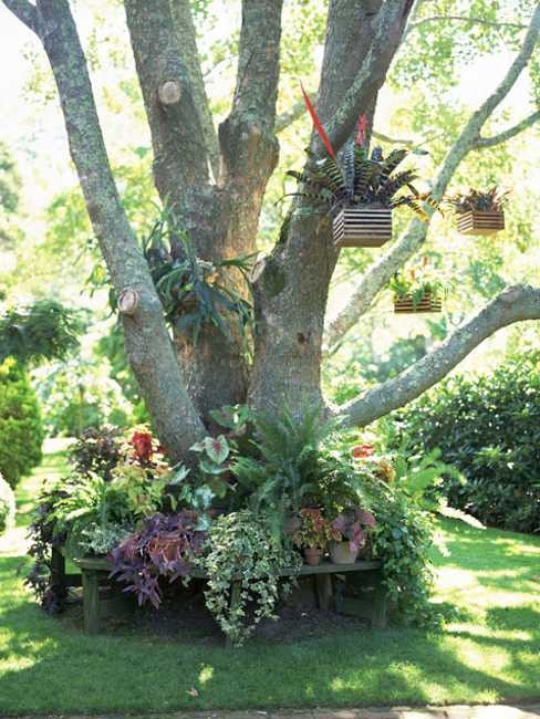 Backyard Tree Ideas
 25 Beautiful Backyard Landscaping Ideas and Gorgeous