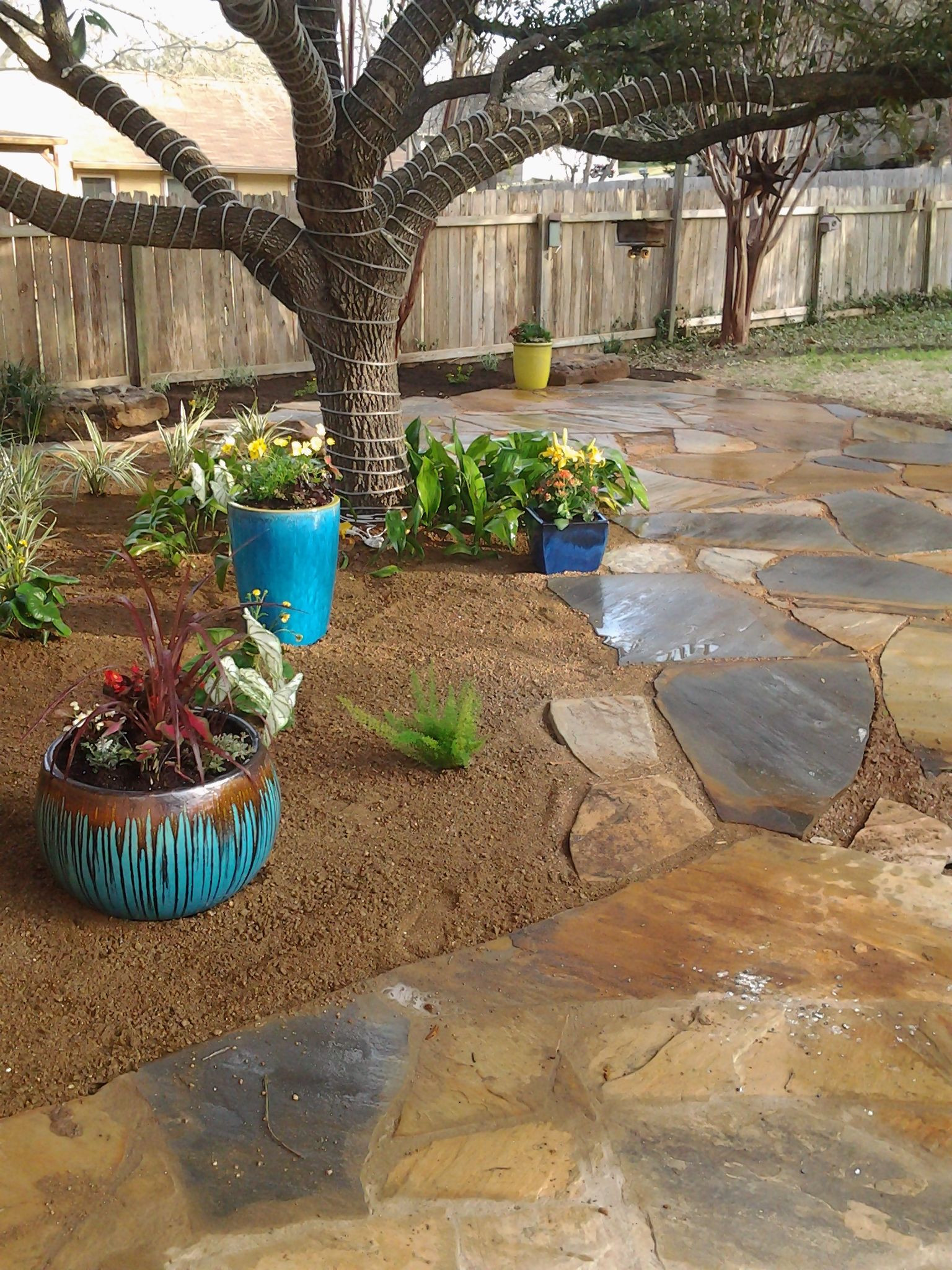 Backyard Tree Ideas
 Backyard landscape de posed granite patio underneath