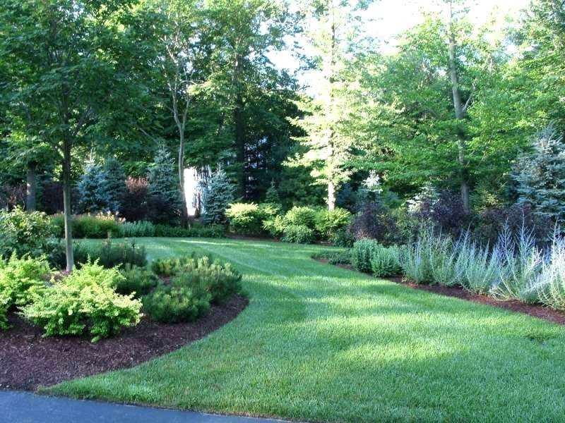 Backyard Tree Ideas
 Bushes are Great For Small Areas in landscaping