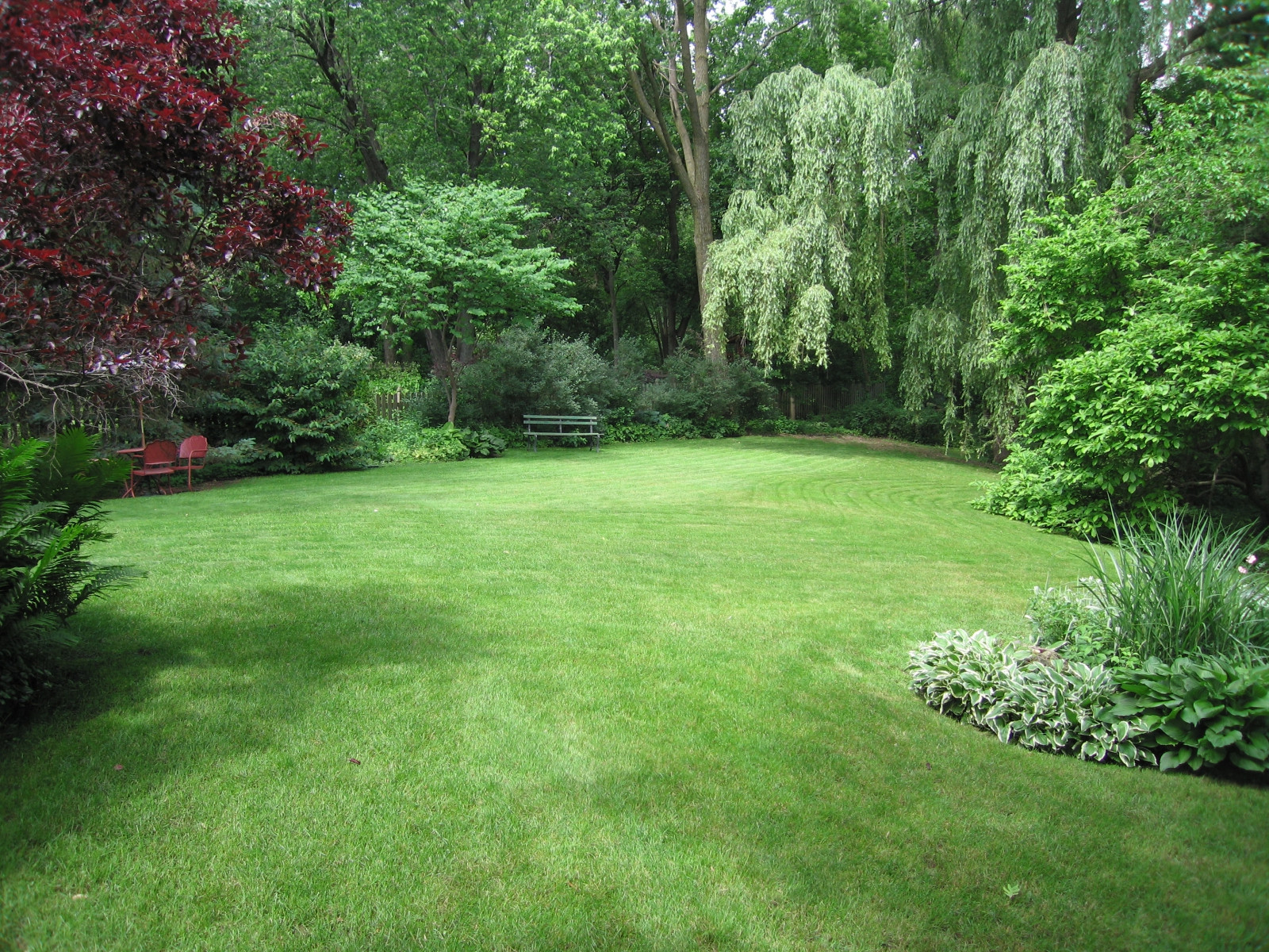 Backyard Tree Ideas
 Landscaping Ideas Backyard at Whispering Oaks