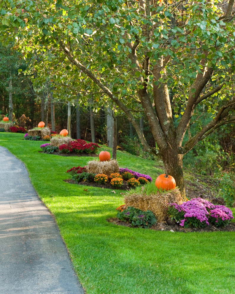 Backyard Tree Ideas
 plete List of Halloween Decorations Ideas In Your Home