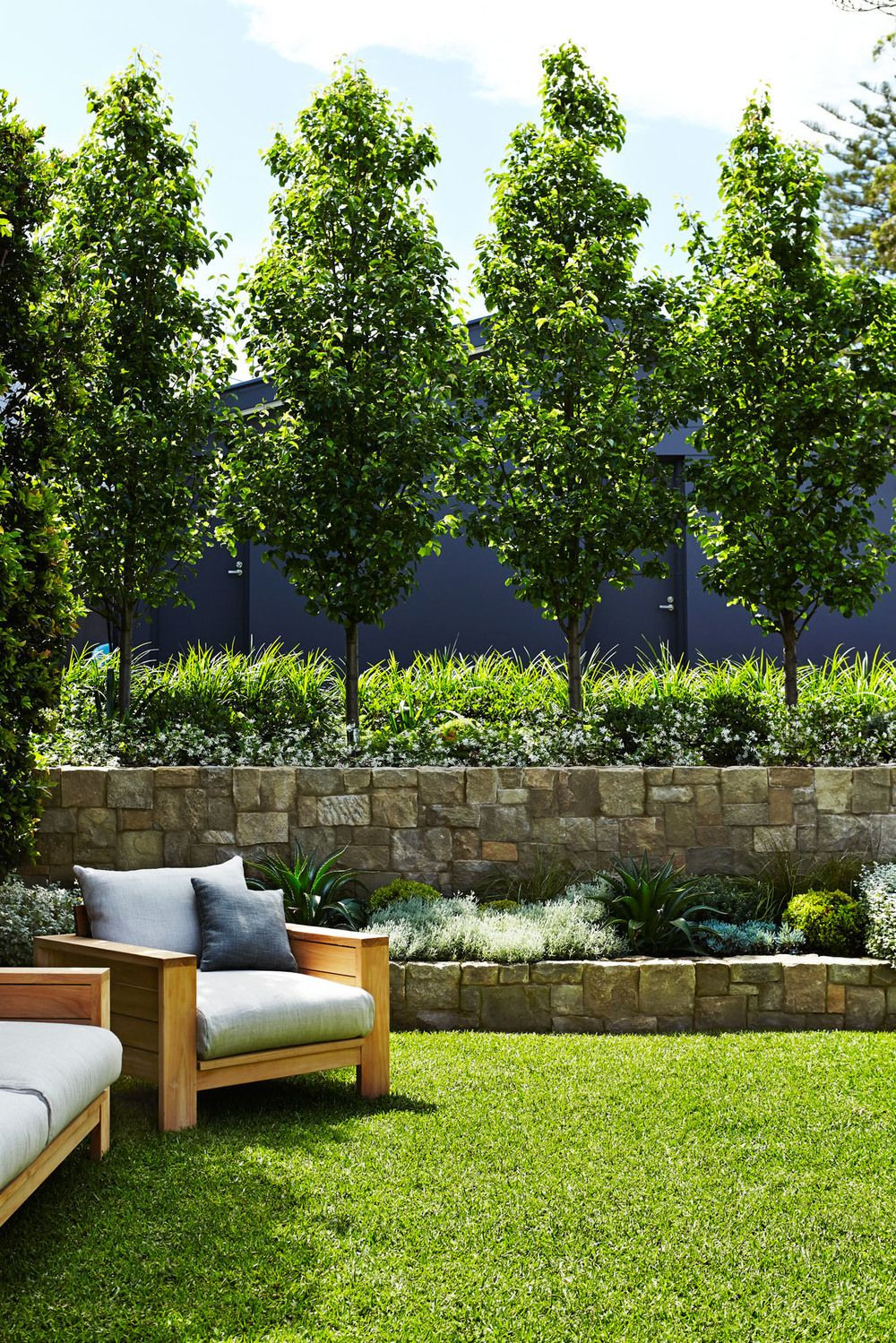 Backyard Tree Ideas
 Fence line ornamental pear jasmine and grass
