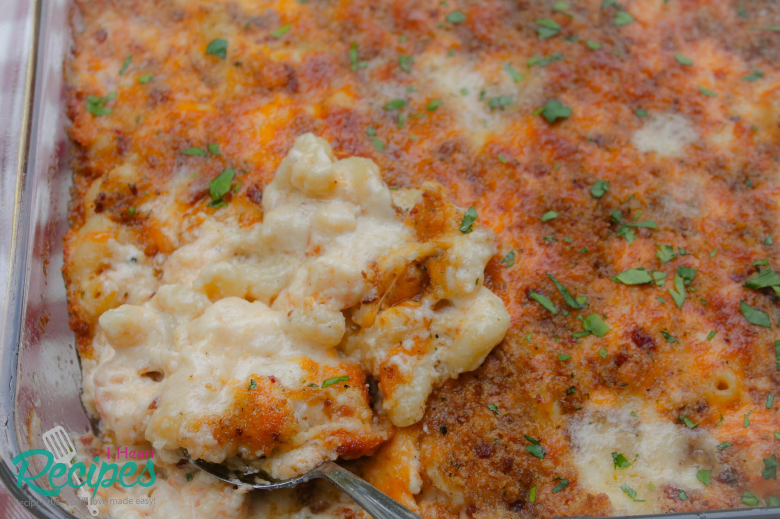 Baked Macaroni And Cheese With Ham And Bread Crumbs
 Lobster Mac & Cheese