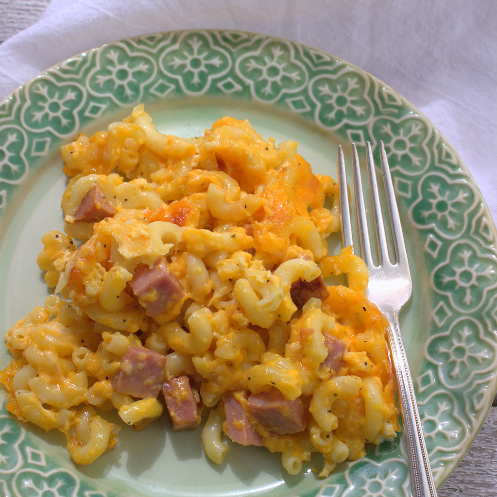 Baked Macaroni And Cheese With Ham Recipes
 Macaroni and Cheese with Ham EasterLeftovers
