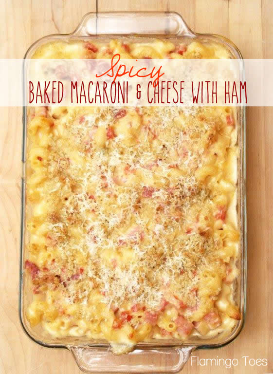 Baked Macaroni And Cheese With Ham Recipes
 Spicy Baked Macaroni and Cheese with Ham Flamingo Toes