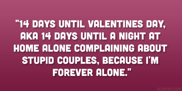 Being Single On Valentines Day Quotes
 24 Funny Quotes About Being Single