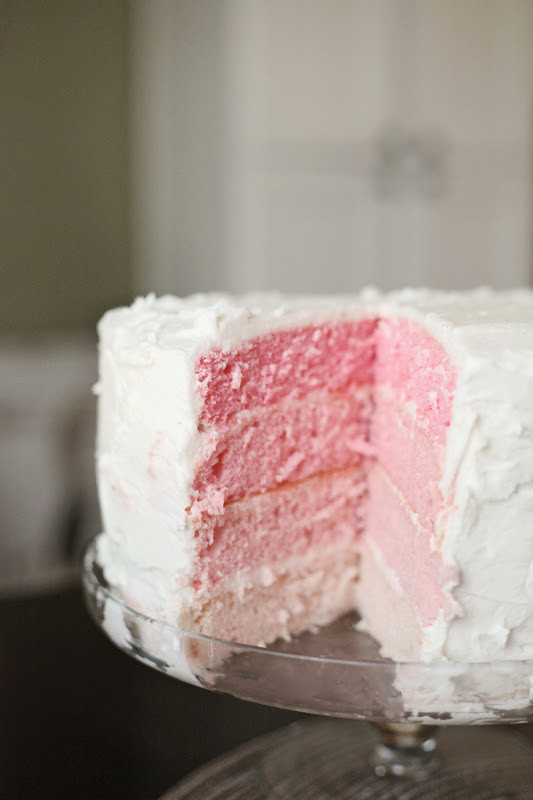 Best Birthday Cake Recipe Ever
 our daily obsessions Party Details "best cake ever
