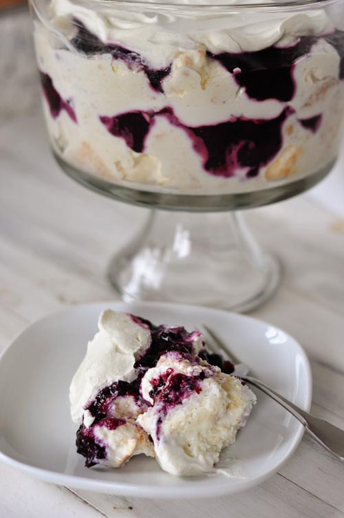 Best Blueberry Desserts
 25 Best Blueberry Recipes A Family Feast
