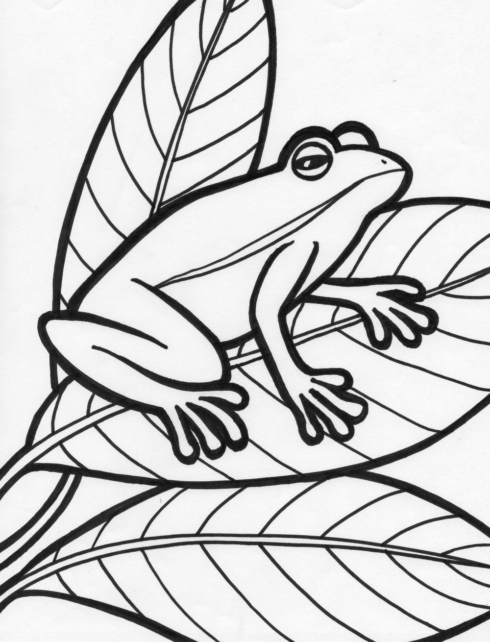 Best Coloring Pages For Kids
 Free Printable Frog Coloring Pages For Kids