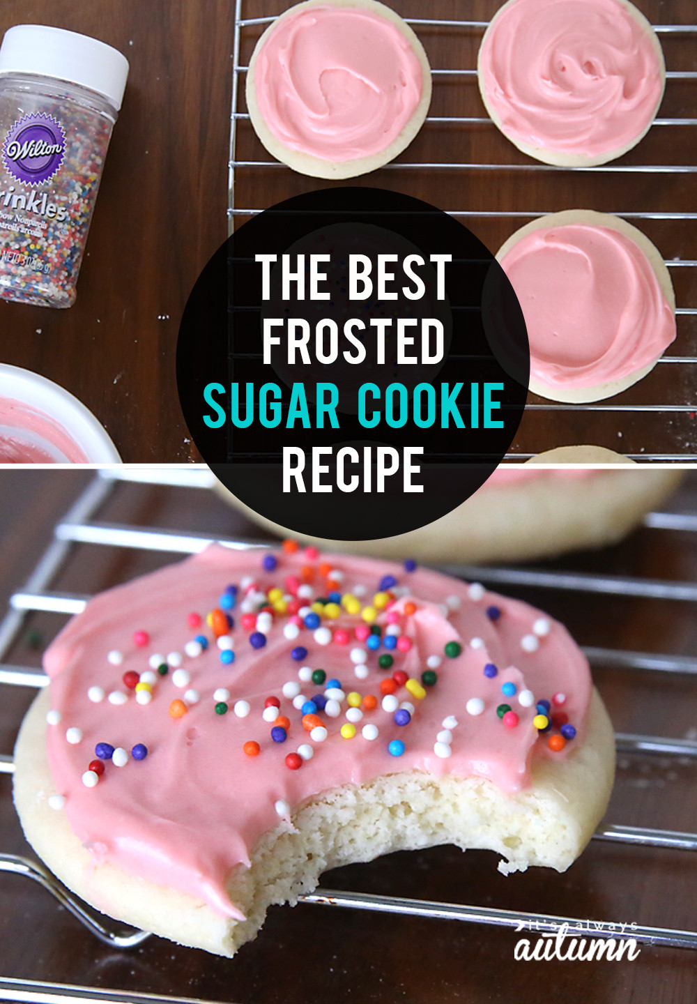 Best Sugar Cookies
 The very best soft sugar cookie cream cheese frosting