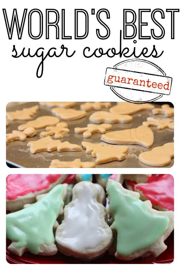 Best Sugar Cookies
 World s Best Sugar Cookie Recipe I Can Teach My Child