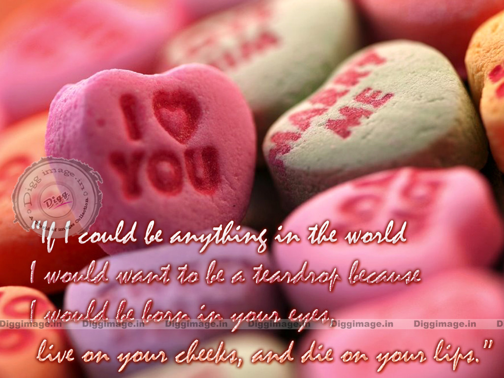Best Valentines Day Quotes
 valentines day quotes 2016 new latest pictures