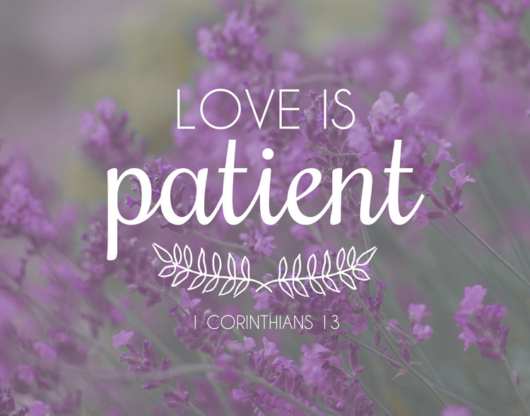 Bible Quotes Love
 Bible Quotes About Patience QuotesGram