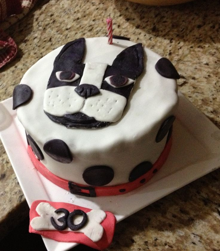 Birthday Cakes Boston
 Boston terrier cake EverydayPins Pinterest