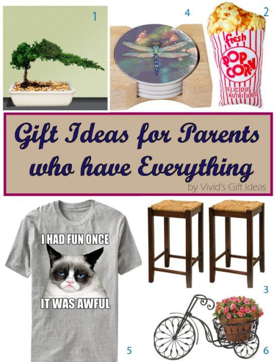 Birthday Gift For Dad Who Has Everything
 Unique Gift Ideas for Parents Who Have Everything Vivid s
