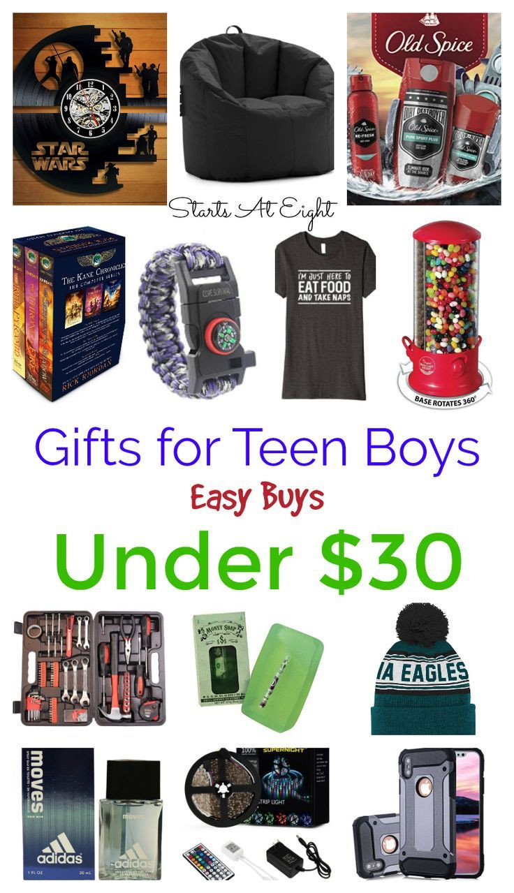 Birthday Gift Ideas For Teenage Guys
 Gifts for Teen Boys Easy Buys Under $30