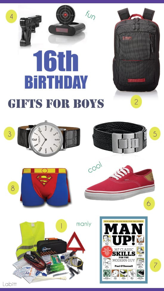 Birthday Gift Ideas For Teenage Guys
 Best 16th Birthday Gifts for Teen Boys Metropolitan Girls