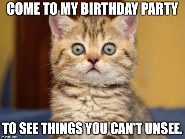 Birthday Party Memes
 Top 100 Original and Funny Happy Birthday Memes Part 2