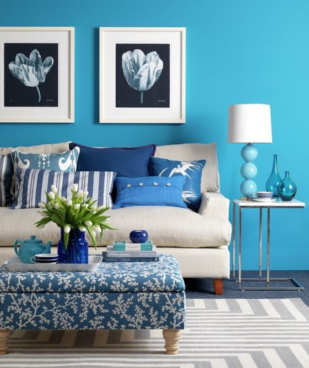 Blue Paint Living Room
 242 best images about Interior Design Blue Livingroom