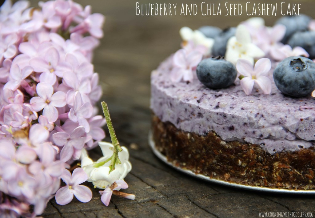 Blueberry Birthday Cake Recipe
 Blueberry Chia Seed Cashew Cake Recipe
