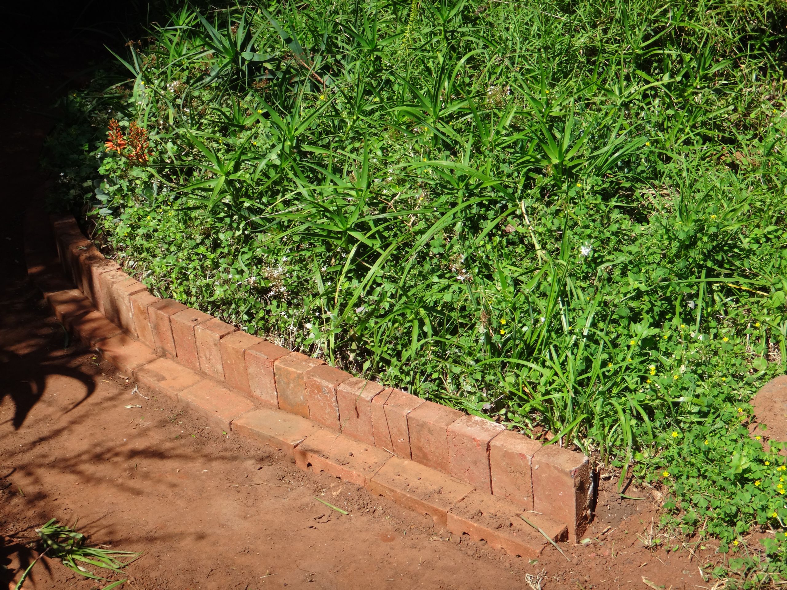 Brick Landscape Edging
 building materials