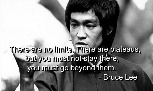 Bruce Lee Motivational Quote
 December 2012 The Daily Blog Cuthies